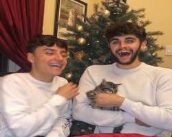 The couple has also adopted a kitten named Wiston.